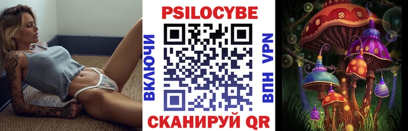 Галлюциногенные грибы GOLDEN TEACHER  Камышлов 
